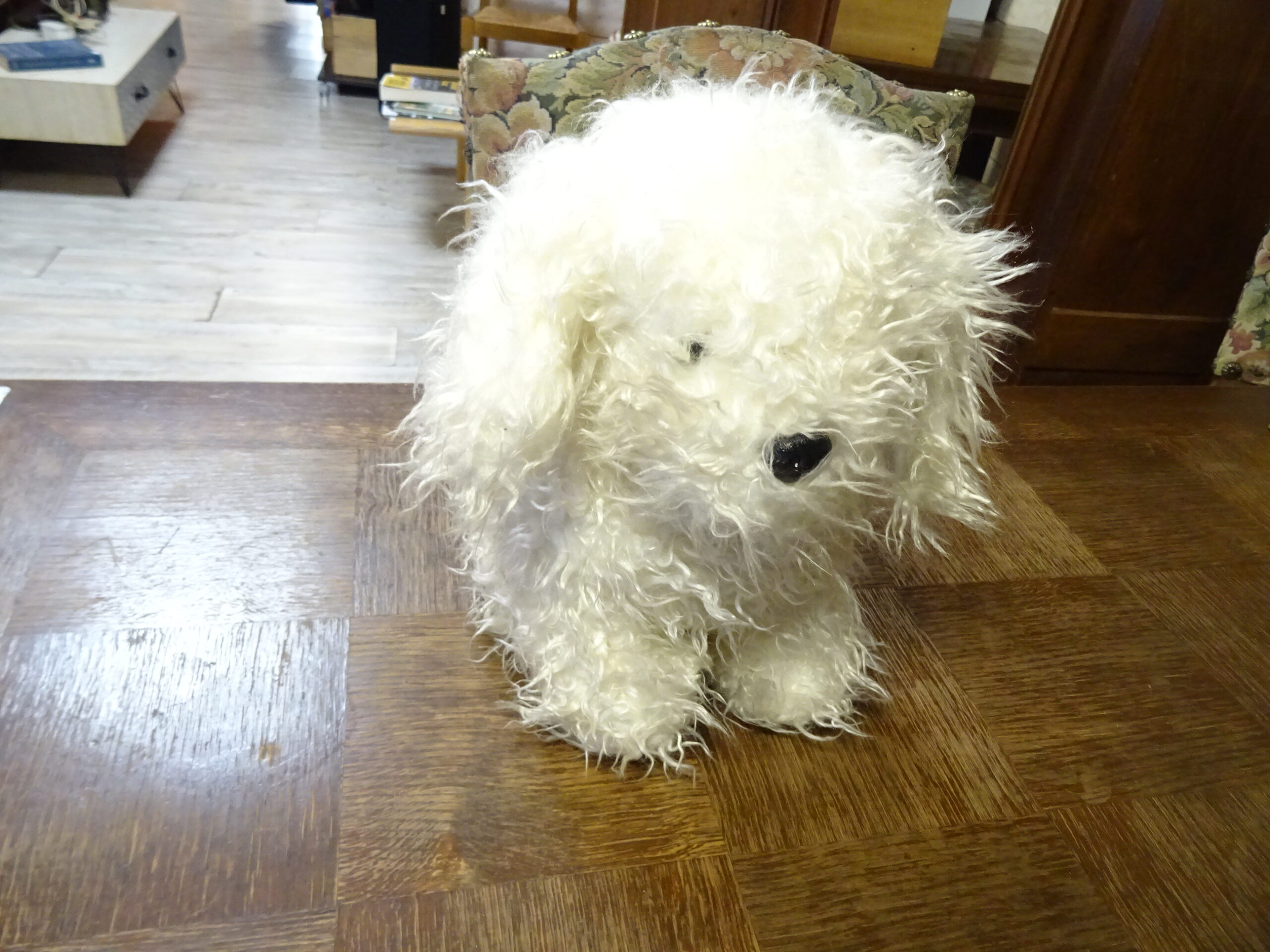 Peluche